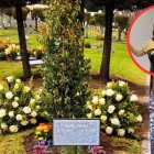 La familia de la Grande del Ecuador informó sobre el sitio donde descansa.