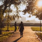 Caminar por entornos naturales ayuda a despejar la mente y recuperar el equilibrio emocional.