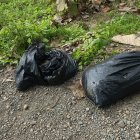 Una mujer fue colocada en sacos tras ser desmembrada, según información policial.