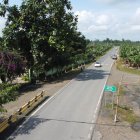 Cinco adolescentes desaparecieron en la vía a Simón Bolívar.