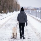 El clima será un factor clave para quienes celebran Thanksgiving y planean viajar.