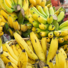 El banano es uno de los productos sin arancel desde Ecuador hacia EE. UU.