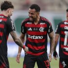 Final Copa Libertadores: Palmeiras - Flamengo