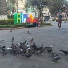 Vecinos de Ambato reaccionan al fuerte sismo del sábado.