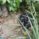 Un ciudadano manipula con un palo una funda negra entre maleza y desechos, en el sitio donde se reportó el hallazgo de un cuerpo desmembrado bajo el puente sobre el río Teaone, en Esmeraldas.