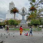 Las autoridades van a estar vigilantes y sancionar a las personas que alimentan las palomas en los parques en Ambato.