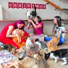 Las mascotas también tienen su lugar en la mesa… o en el suelo, para compartir la cena junto a su familia