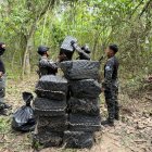 La Policía localizó tres toneladas de droga en una finca ubicada en el sitio Pile de Montecristi,