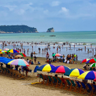 Año Nuevo 2026 en Ecuador: decreto establece feriado de cuatro días del 1 al 4 de enero.