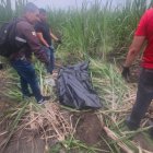 Dos cuerpos fueron desenterrados en una plantación de azúcar.