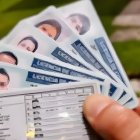 Los documentos fueron encontrados por casualidad, durante un operativo policial.