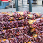 Durante la veda de cangrejo 2026 en Ecuador se prohíbe la captura, venta y transporte para conservar los recursos marinos.