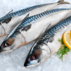 El pescado estaría siendo infectado.