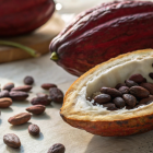Cacao récord: El precio de la tonelada supera los $ 5.000.