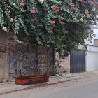 El ataúd fue abandonado en las calles Juan Montalvo y 17 de diciembre