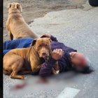 El accidente ocurrió en un tramo de la Panamericana E35, a la altura de la gasolinera de Cayambe, en el norte de Quito.