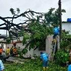 Vecinos y bomberos retiran un árbol de 20 metros que cayó sobre una vivienda en la décima segunda etapa de La Alborada, dejando a sus ocupantes atrapados y con pérdidas materiales.