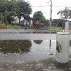 El suceso se registró en un parque.