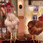 MARANTONI

AG-EXTERNOS