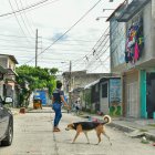 El hecho se registró en la cooperativa Unión y Progreso.