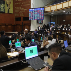 Eutanasia en Ecuador: ley se abre paso en la Asamblea Nacional.