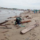 Trabajadores turísticos retiran manualmente los troncos que invaden la playa en Playas.