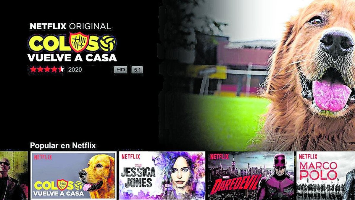 Toda un drama la vida en Barcelona de la mascota Coloso.