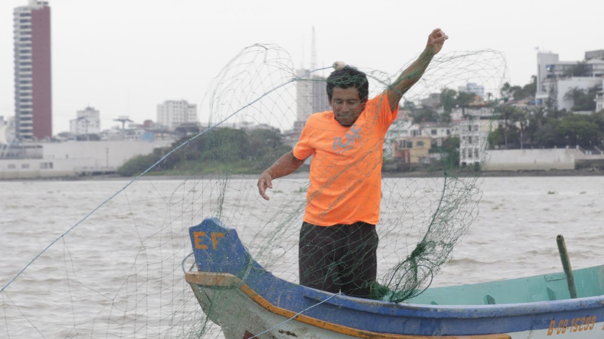 La red de pesca es lanzada en zonas identificadas por los artesanos como de buena afluencia de especies.