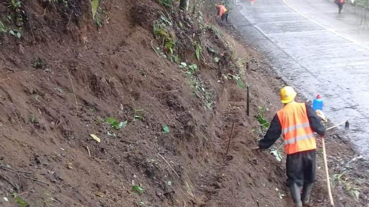 Con la siembra de plantas vetiver buscan estabilizar los cerros de algunas zonas la ruta del Spondylus.