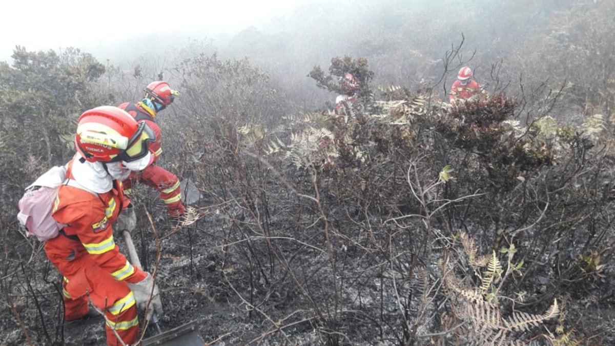 Hasta la mañana de este viernes 28 de agosto trataban de apagar el incendio