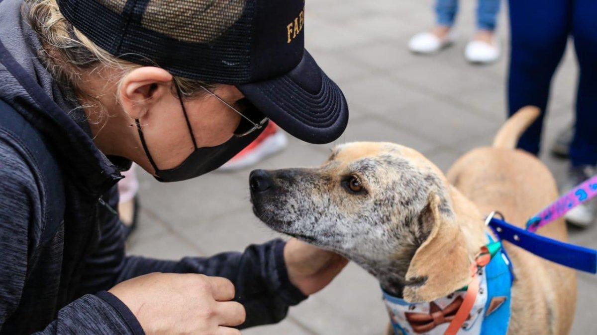 La actividad se realizó en la ciudadela Kennedy, el norte de la urbe. El 15 de octubre habrá otro evento similar.