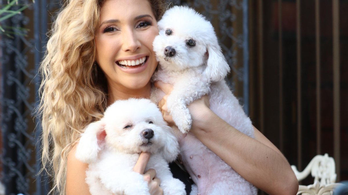 Junto a sus “hijos”, Titilipú y Coco José.