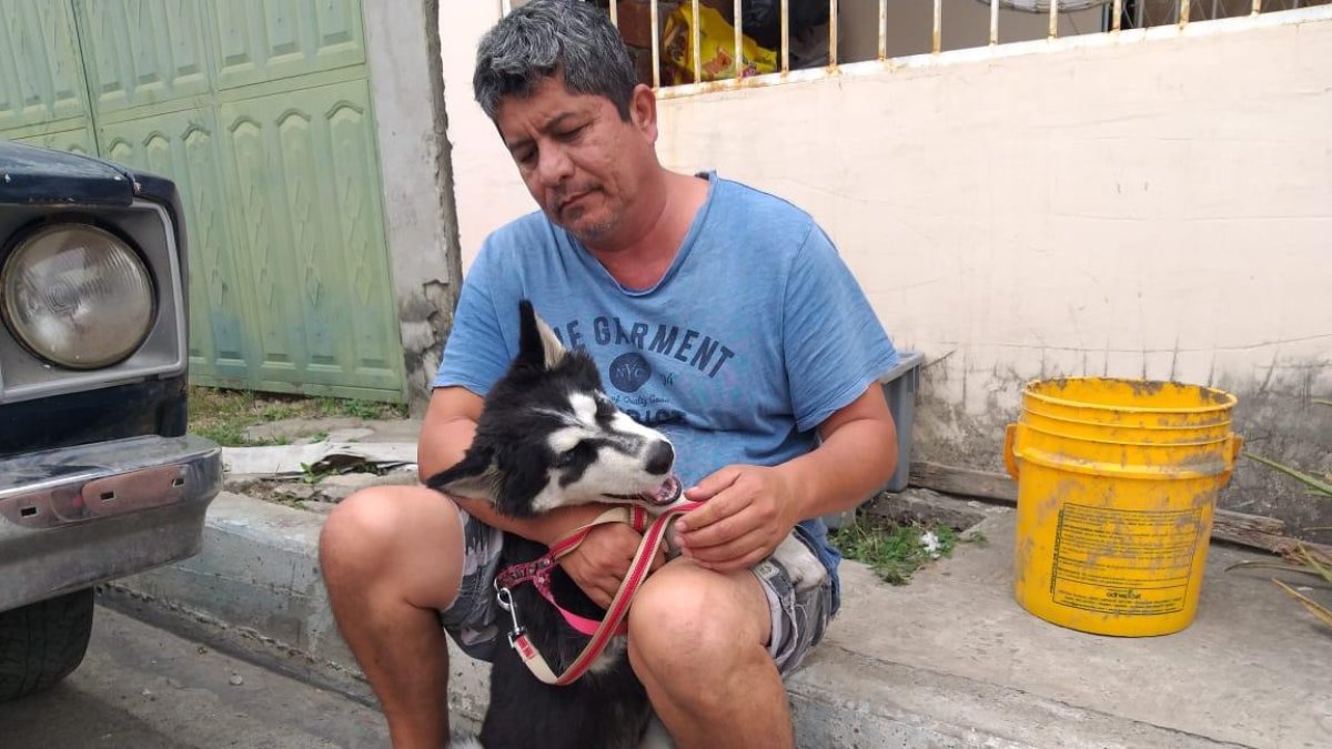 Luis Álava no dejaba de acariciar a su perro en señal de agradecimiento por haberlos alertado del incendio.