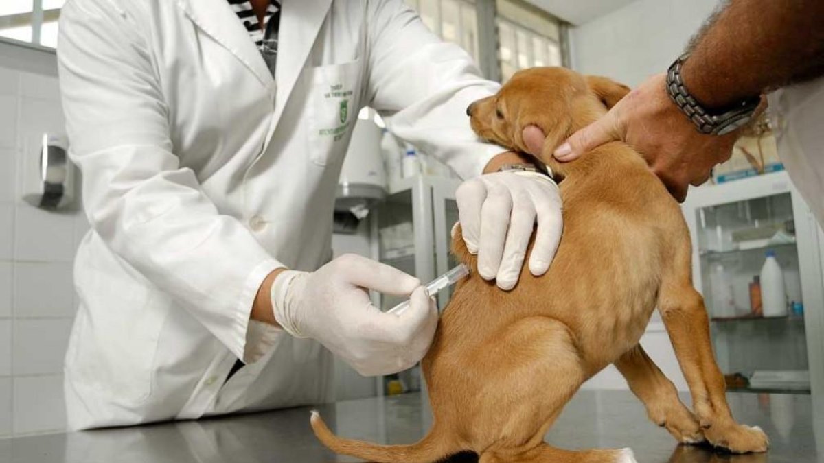 La jornada de vacunación se realizará en Calacalí desde las 09:00.