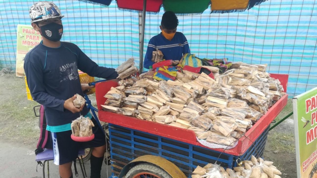 Además de los pedazos obtenidos de la especie vegetal, también venden polvo de palo santo, aceite y otros derivados.