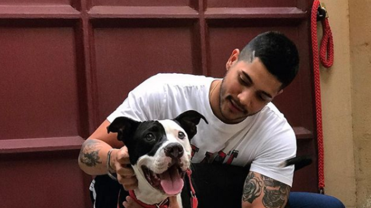 David con Drako, el día que lo adoptó y llegó a su hogar.