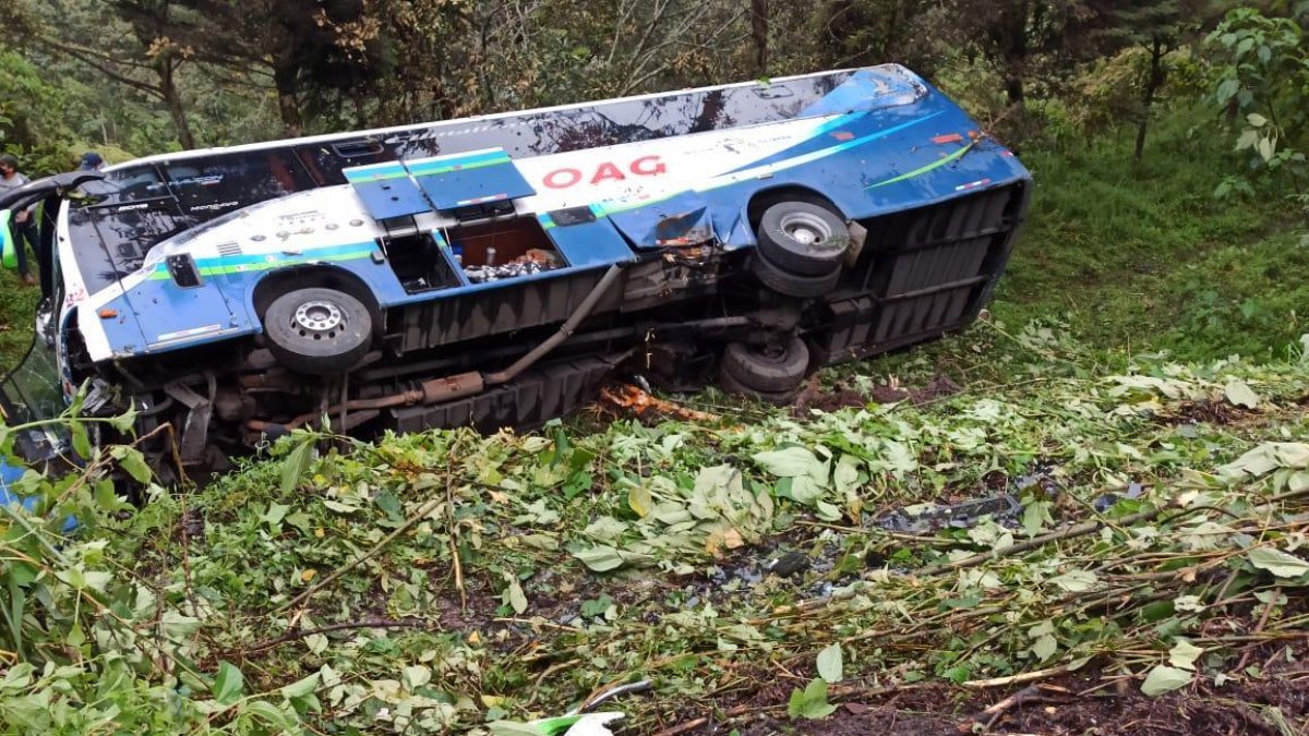 El vehículo pesado se desbarrancó 20 metros.
