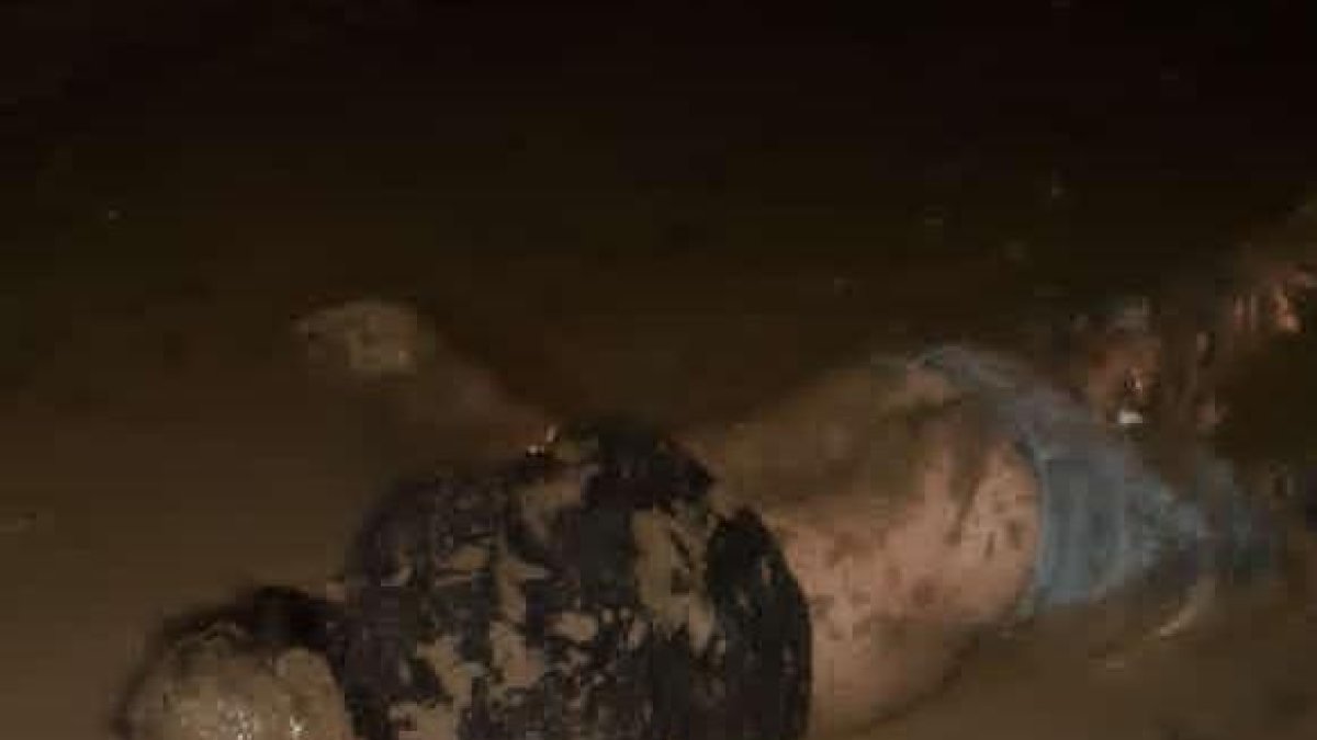 Wilmer Gerardo Muñoz Zambrano murió tras sufrir un accidente vial.