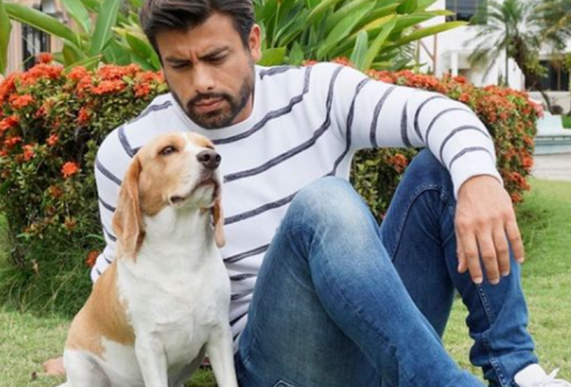 ¿Qué pasó con Jagger, el perro de Efraín Ruales?