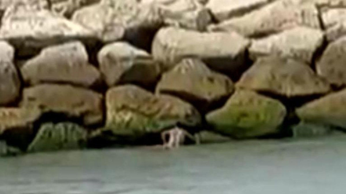 Pareja fue filmada en el malecón de La Libertad.