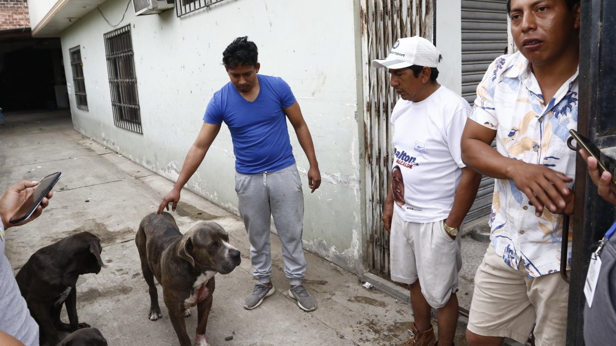 La mascota se encontraba estable, pero sería llevada a un veterinario.