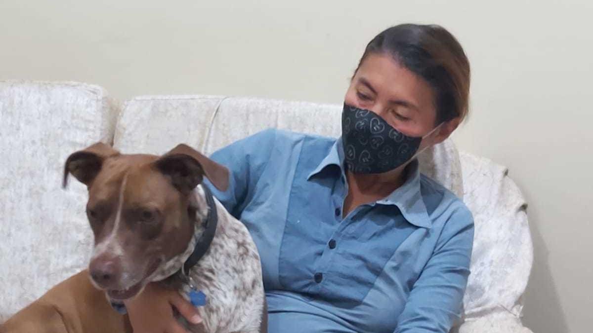 Drago estuvo a punto de morir por una anemia aguda. Al parecer nunca fue alimentado y el can comió plástico, trapo y correas.