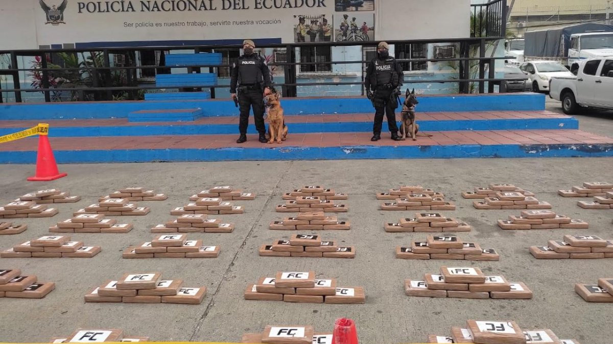 Los 950 paquetes rectangulares hallados en uno de los containers que esperaban ser llevados a Eutopa.