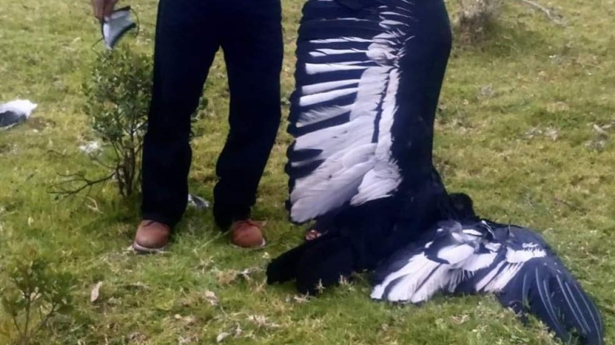 Una vez que se determinen las causas de la muerte, se procederá con las acciones pertinentes, con la finalidad de esclarecer los hechos.