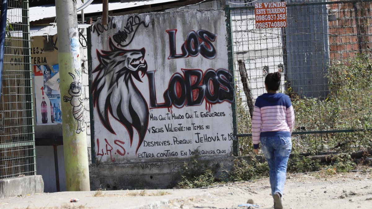 Una casa del sector luce un muro pintado en alusión a Los Lobos.