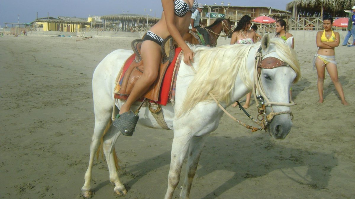 La oferta de paseos en caballos en la playa se venía dando desde hace mucho tiempo, pero nadie había hecho nada para regularla.