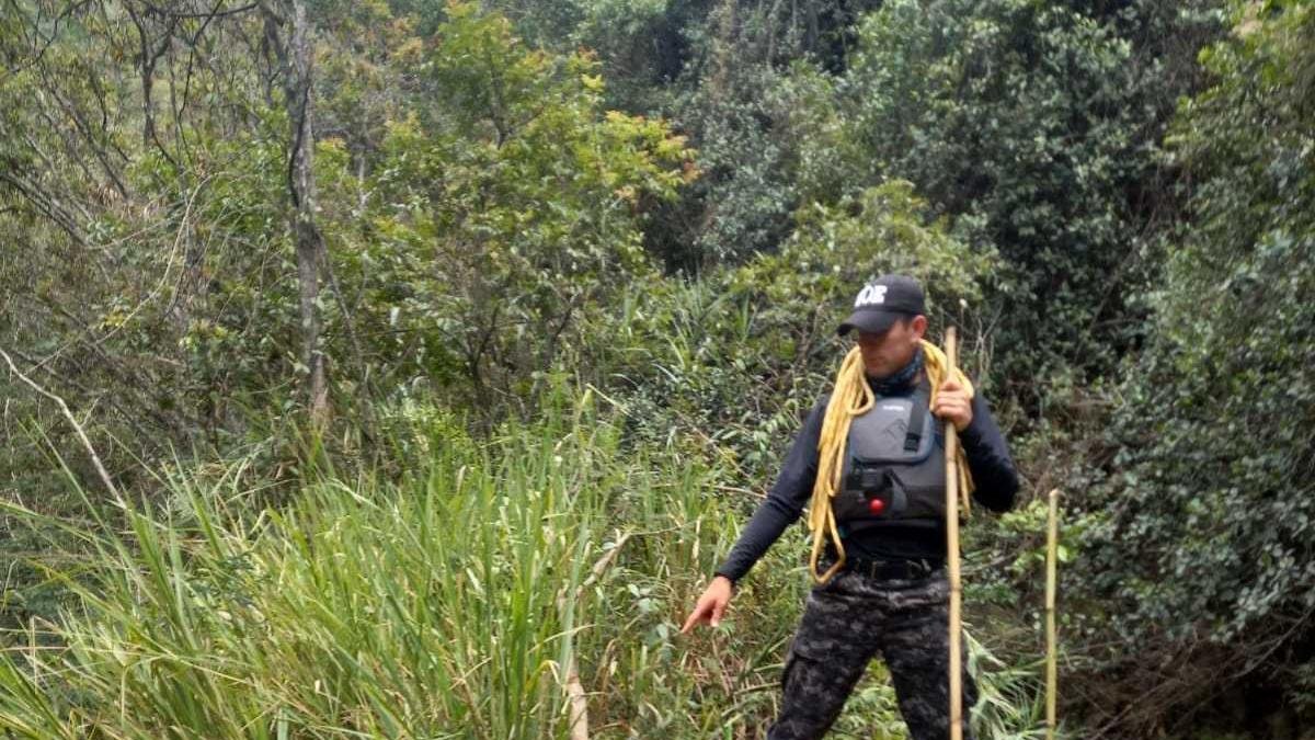 La última jornada de búsqueda la hicieron el sábado.