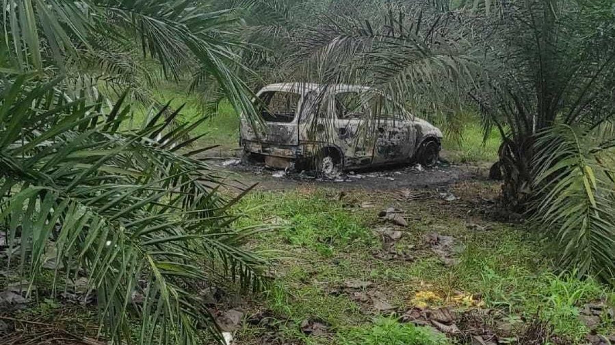 El cadáver y el carro estaban en medio de unas palmas.