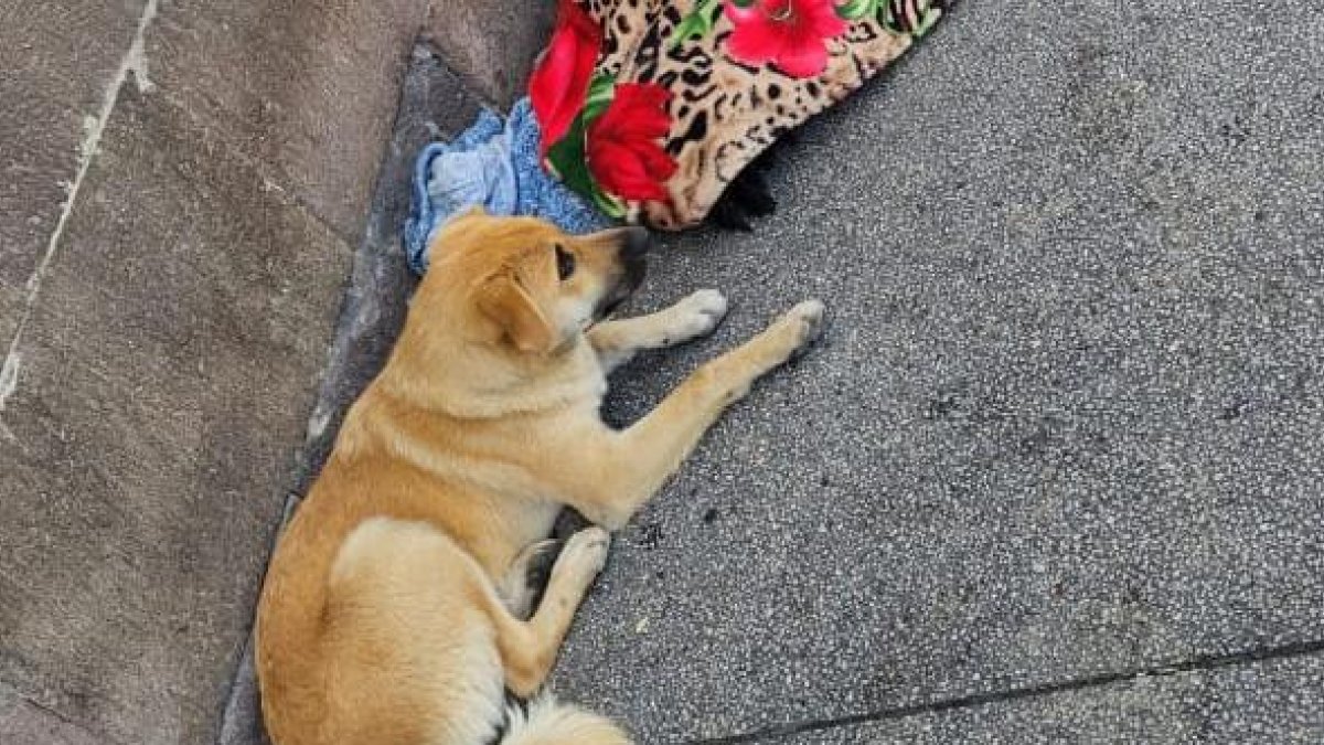 Esta es la foto que tomaron las personas cuando se percataron de que el hombre murió.