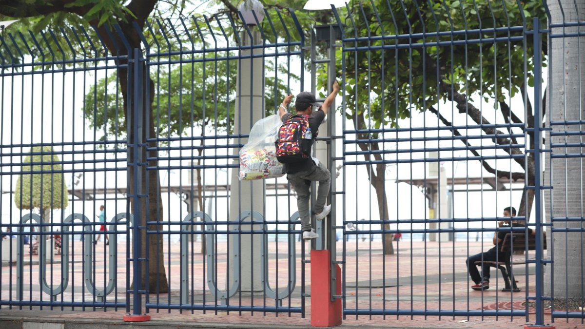 Vendedores suelen irrumpir en el Malecón 2000 trepando rejas.